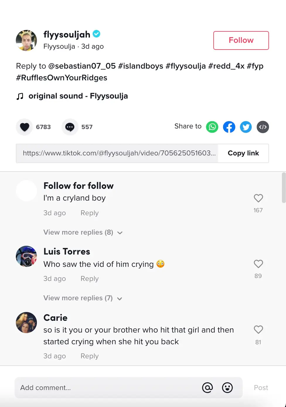 Fans took to the comments section of Venegas’ most recent video to criticise the pair (TikTok @Flyysoulja) 