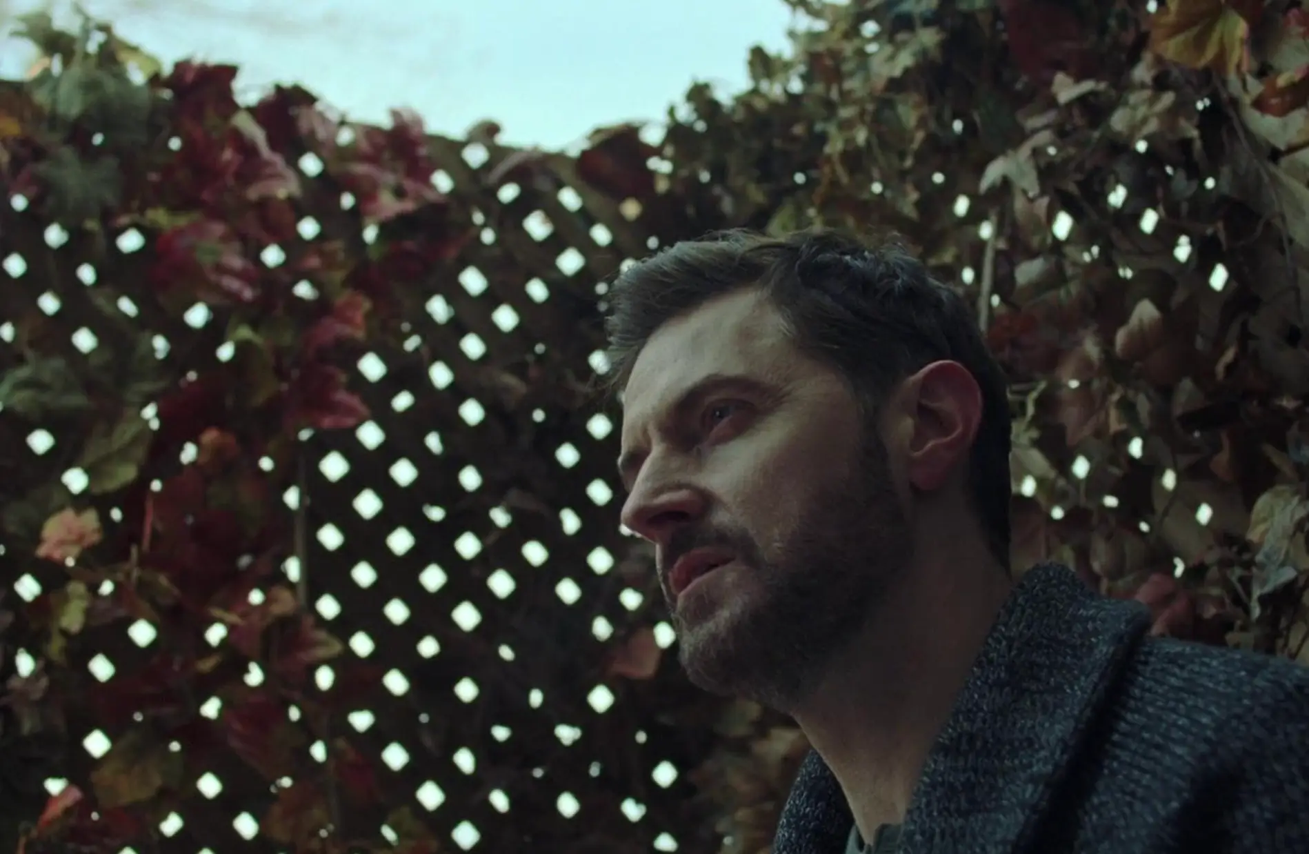 Viewers warn The Lodge is 'deeply disturbing'.