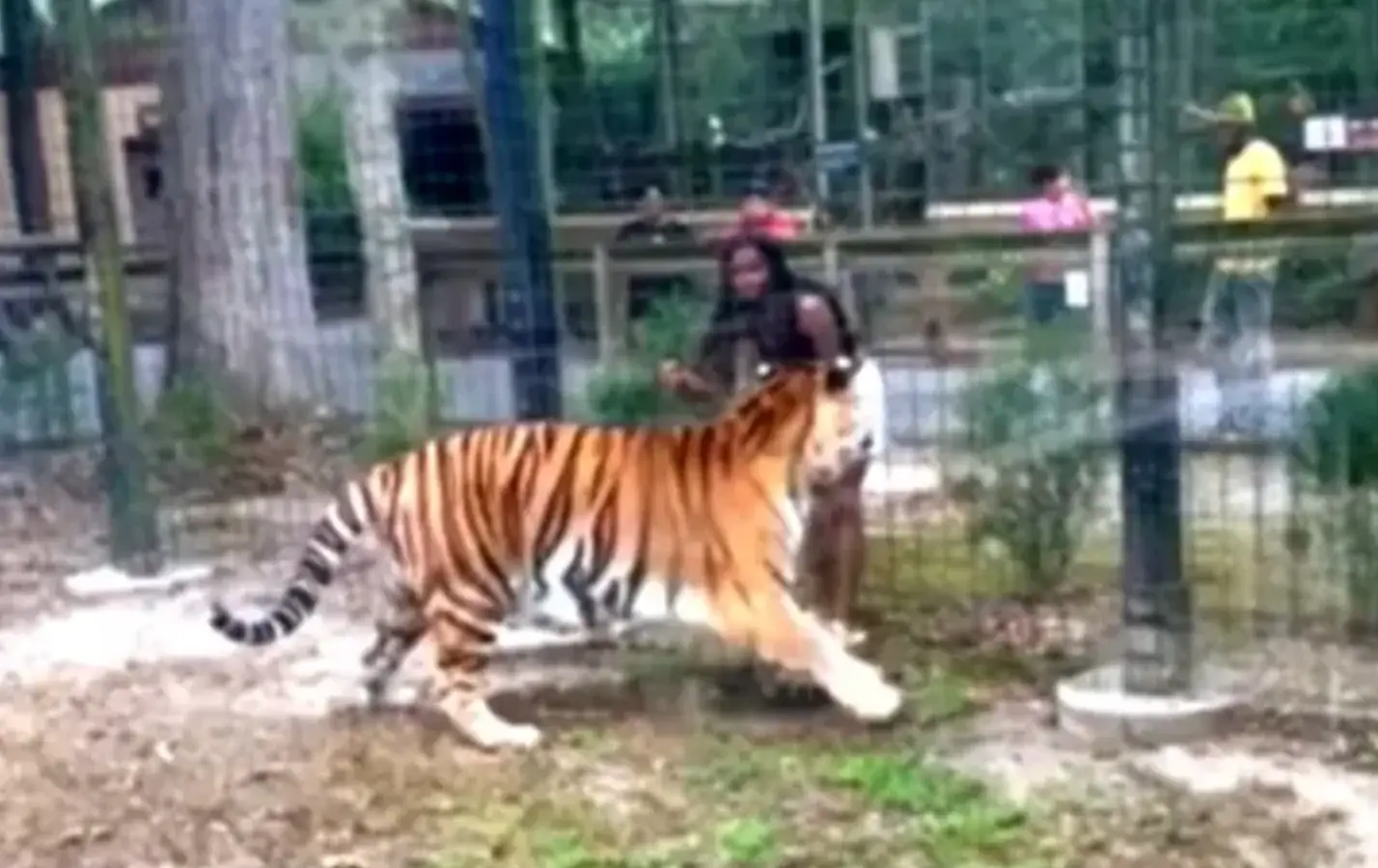 The footage shows how close the woman was to a horrific accident. (Bridgeton Police Department)