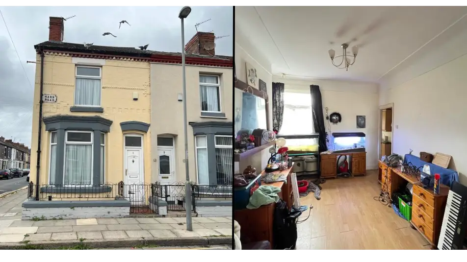 Bizarre UK house goes on sale with Tasmanian Devil twist