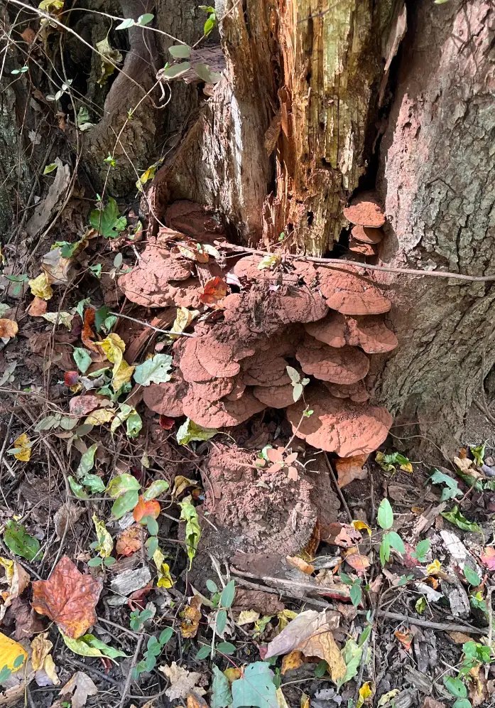 I was still baffled by this one, maybe you'd do better than me. (Reddit/u/Prize-Technology-811)