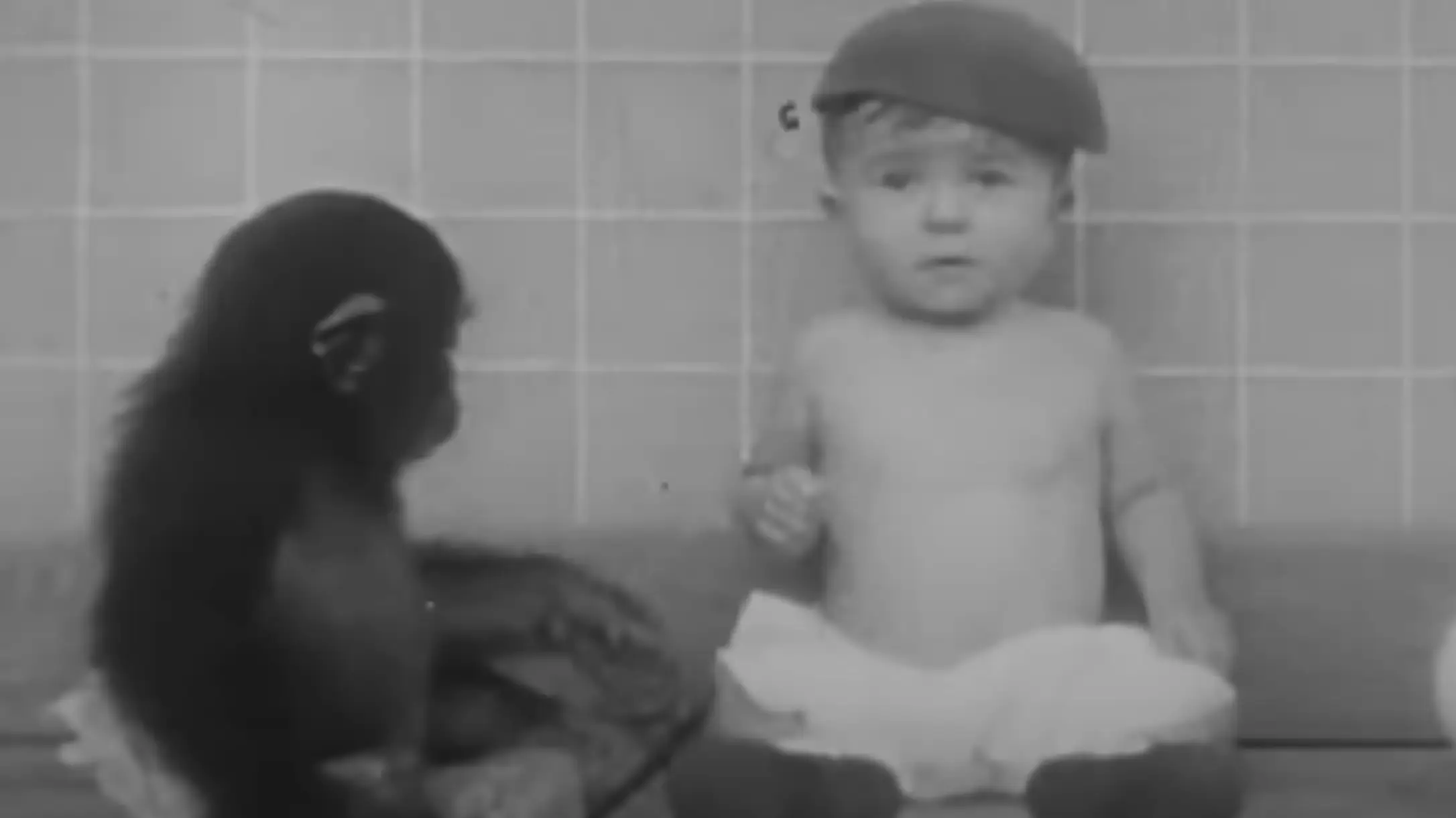 YouTube/A/V Geeks 16mm Films