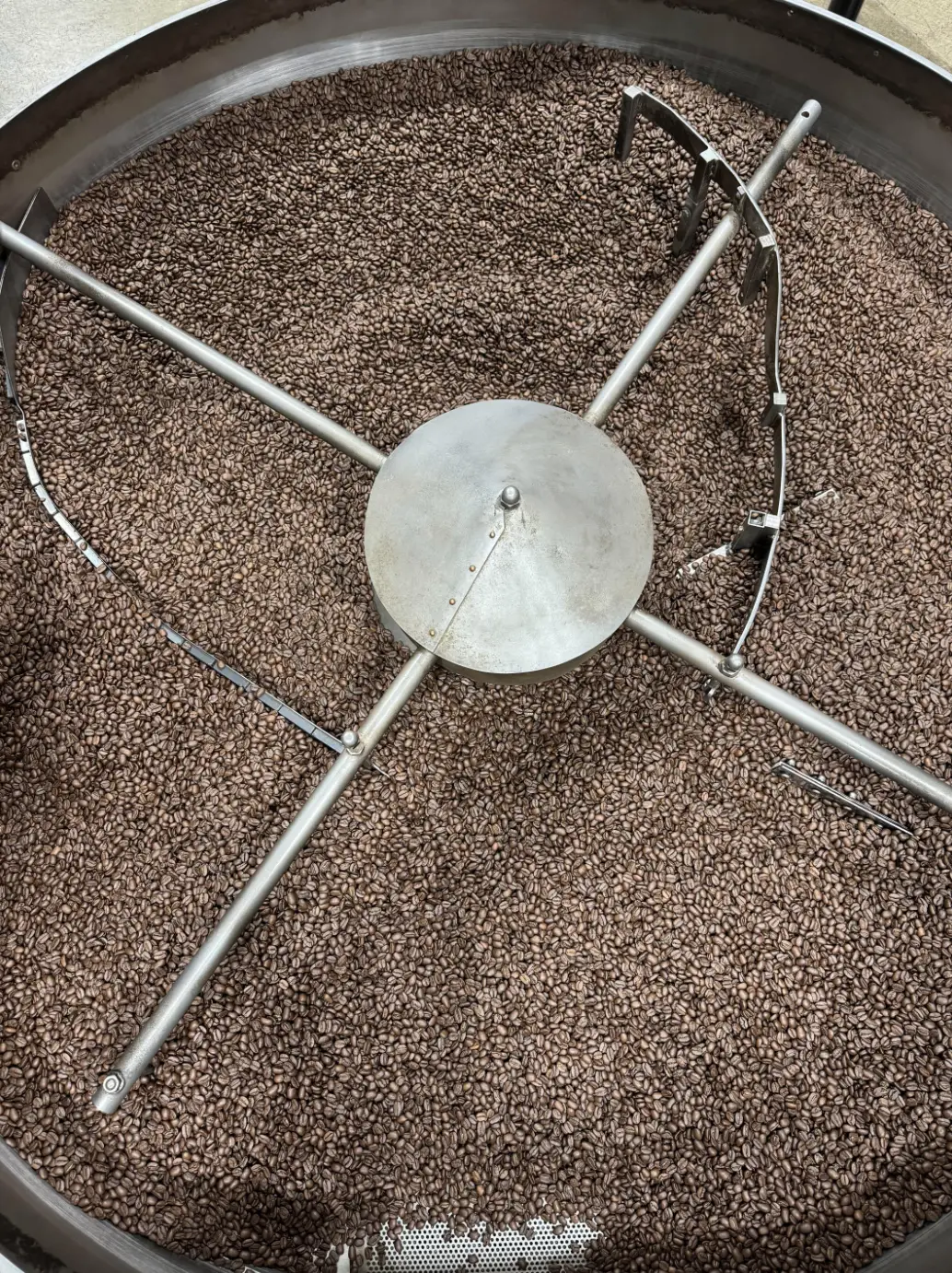 Can you find the illusive pebble? (Reddit)