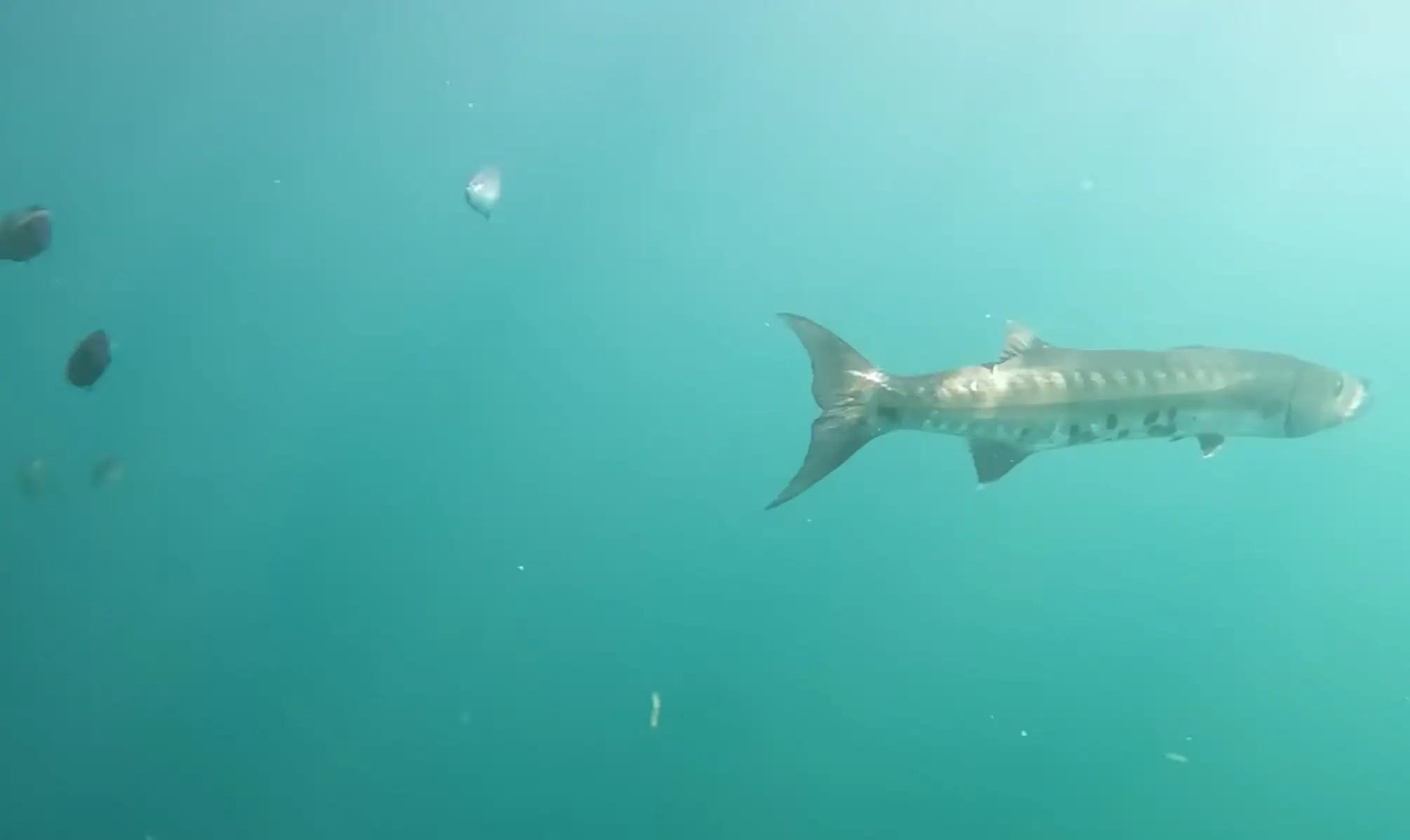 Just beneath his boat lay 'a lot of life'. (Youtube/AnglerUp with Brant)