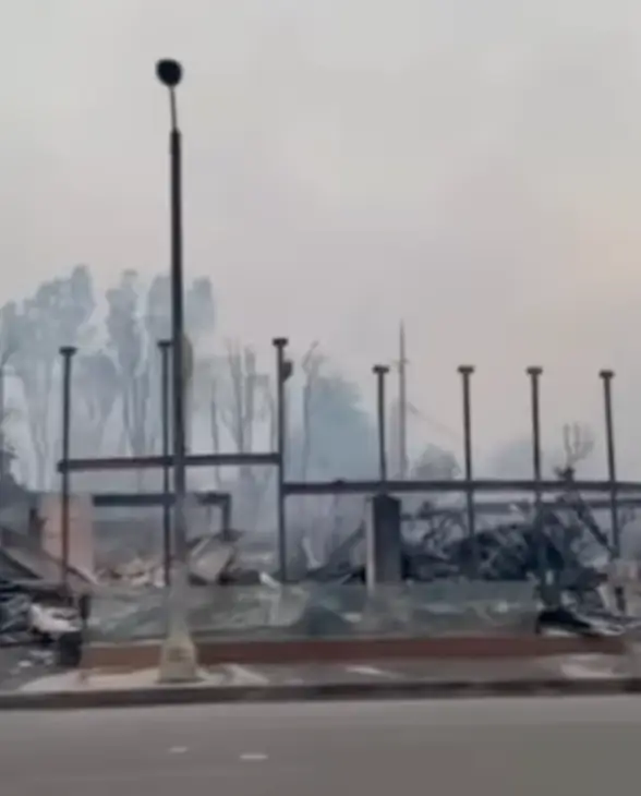 Jamie Lee Curtis shared a video of the devastation in her neighbourhood (Instagram/@jamieleecurtis)