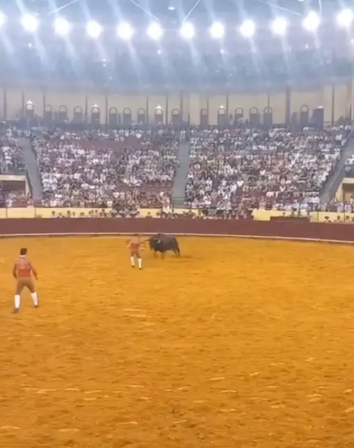 Trindade seen provoking the bull seconds before it bolted at him on Friday (X)