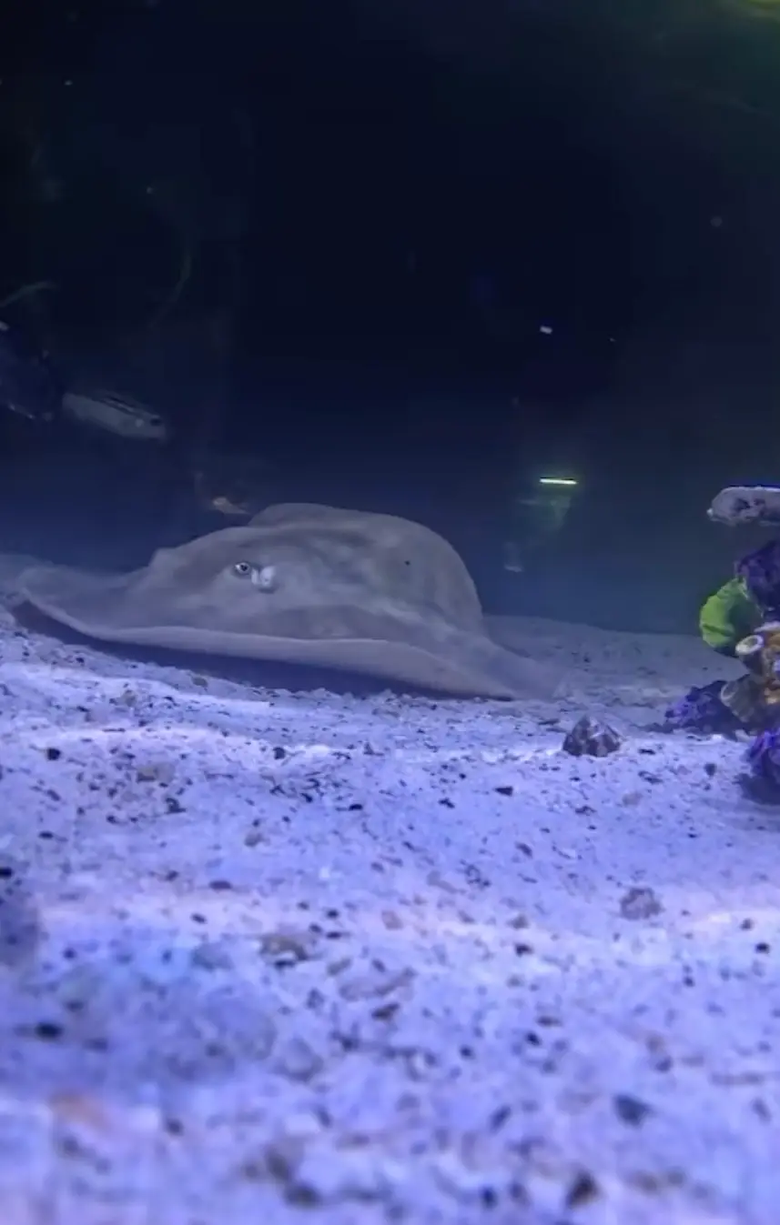 Sadly, Team ECCO had some tragic news to share (Instagram/@TeamEcco)