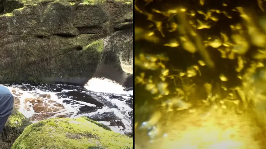 YouTube/jack a snacks