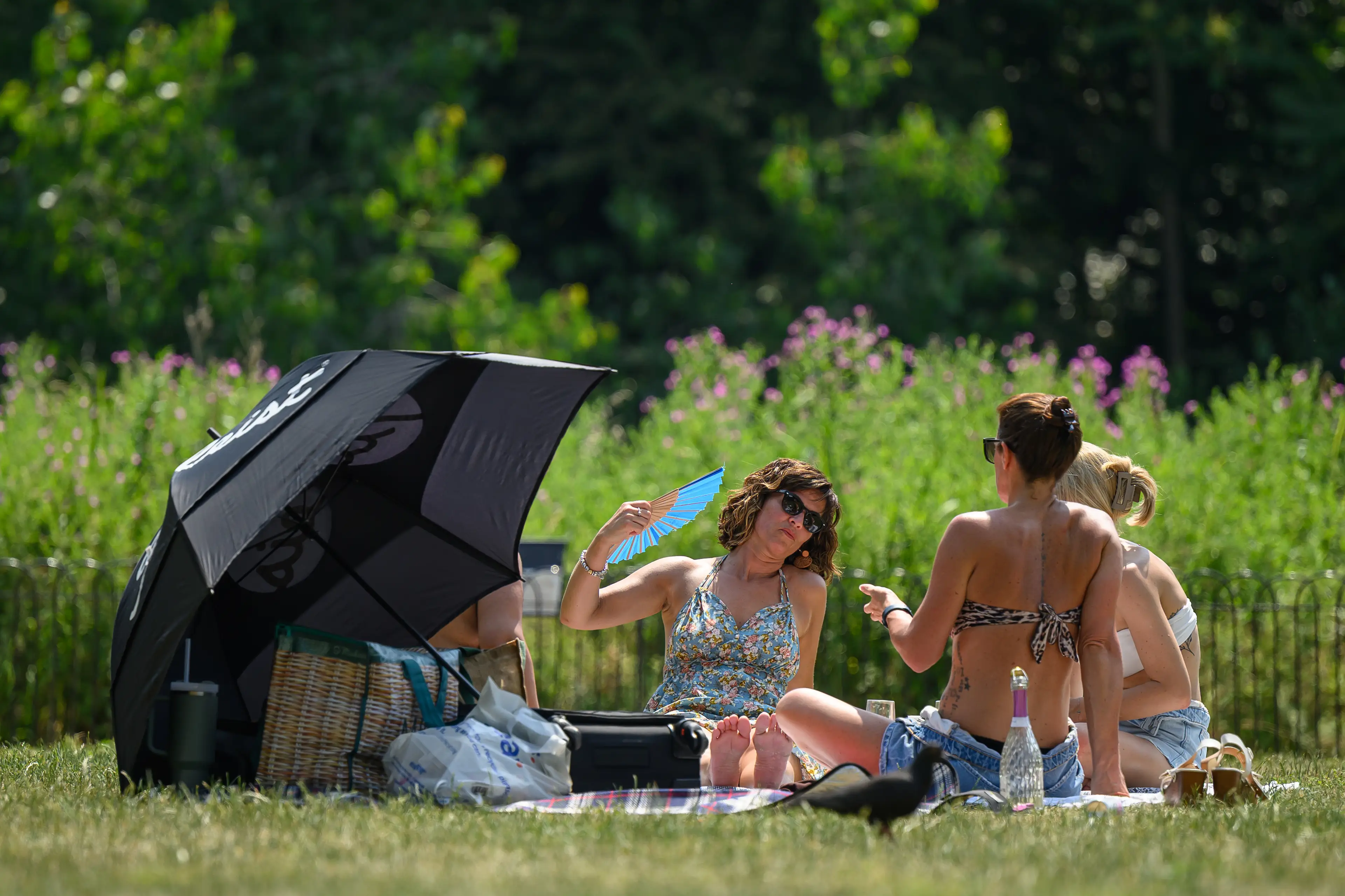 The UK is in a heatwave (Leon Neal/Getty Images)