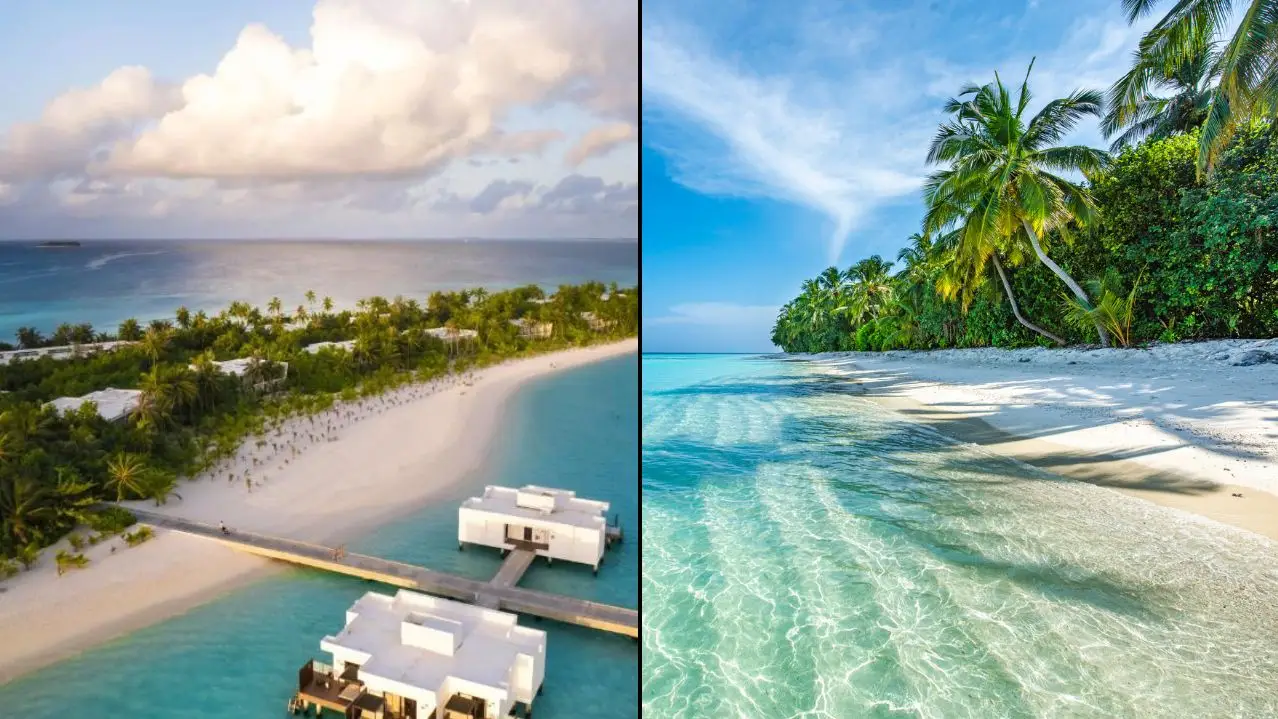 How to bag £300 off incredible holidays in 2025 and 2026 with TUI's massive winter sale