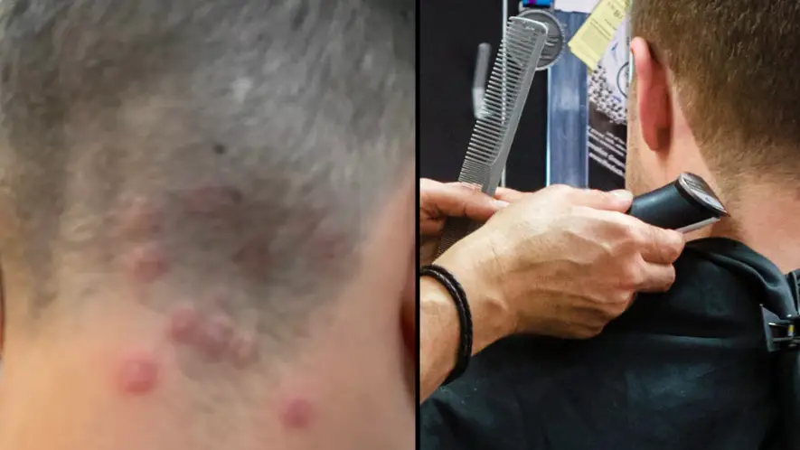 Ian Dagnall / Alamy Stock Photo