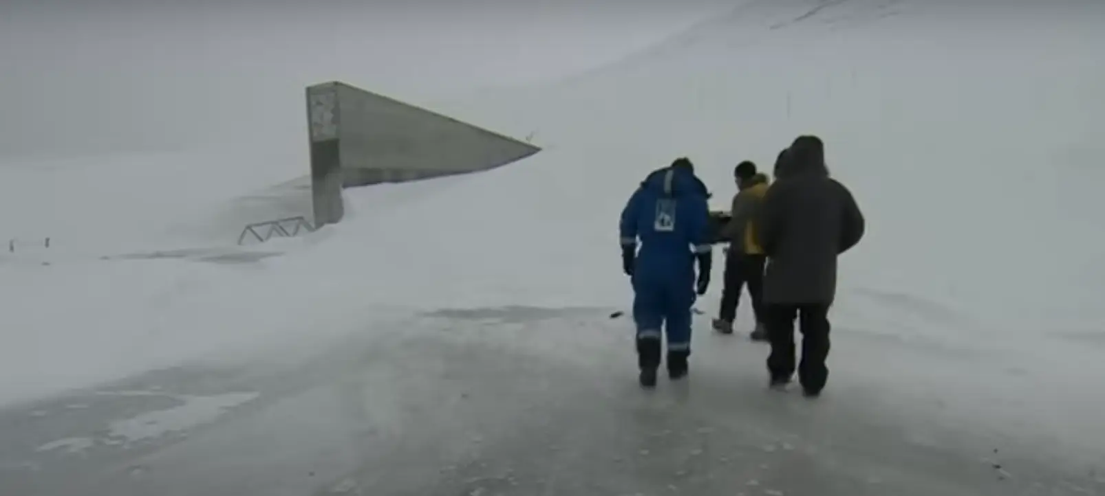 This vault contains samples of all the seeds in the world (