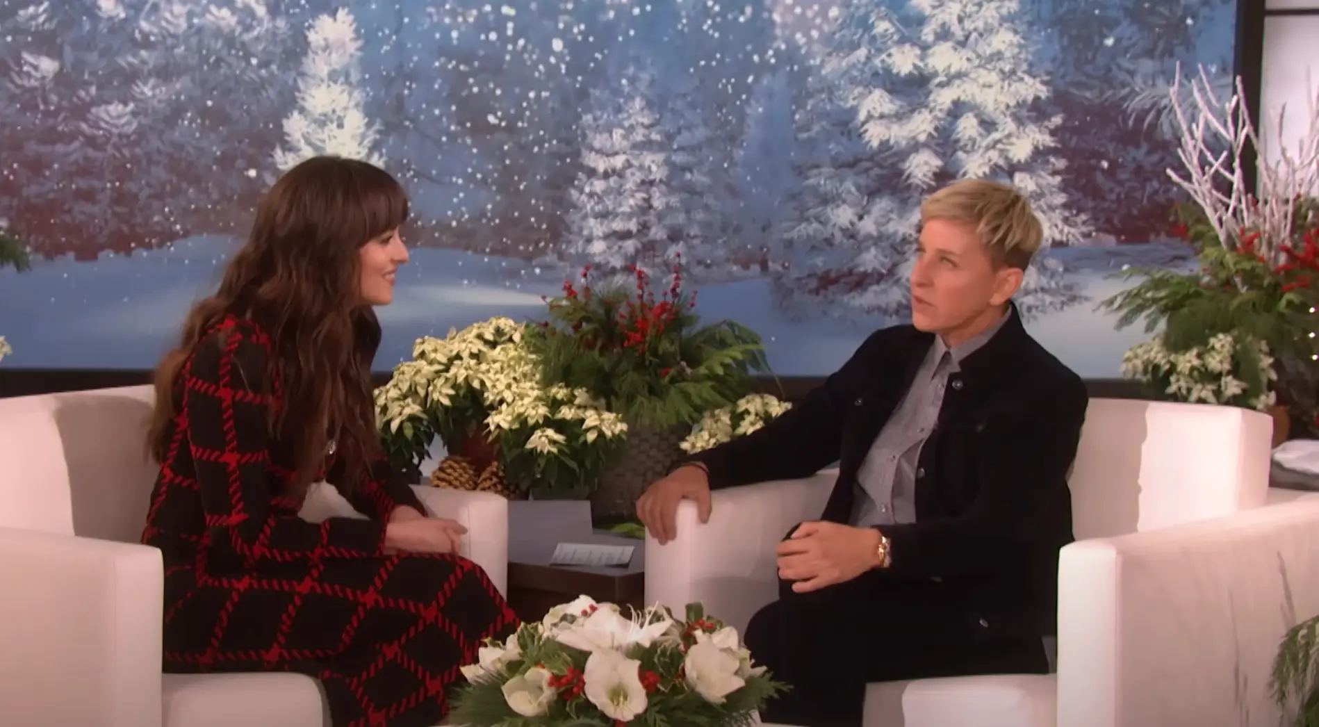 Dakota Johnson stopped Ellen Degeneres in her tracks with her response (YouTube/The Ellen Show)