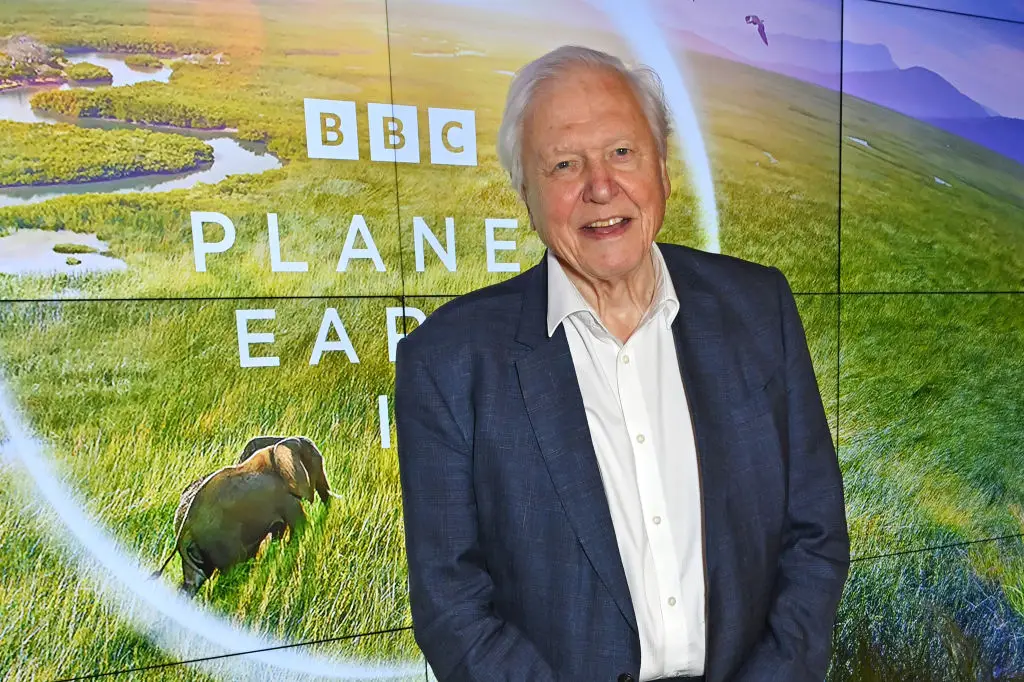 Sir David Attenborough shared some worrying predictions about the future of our planet (Photo by Dave Benett/Getty Images)
