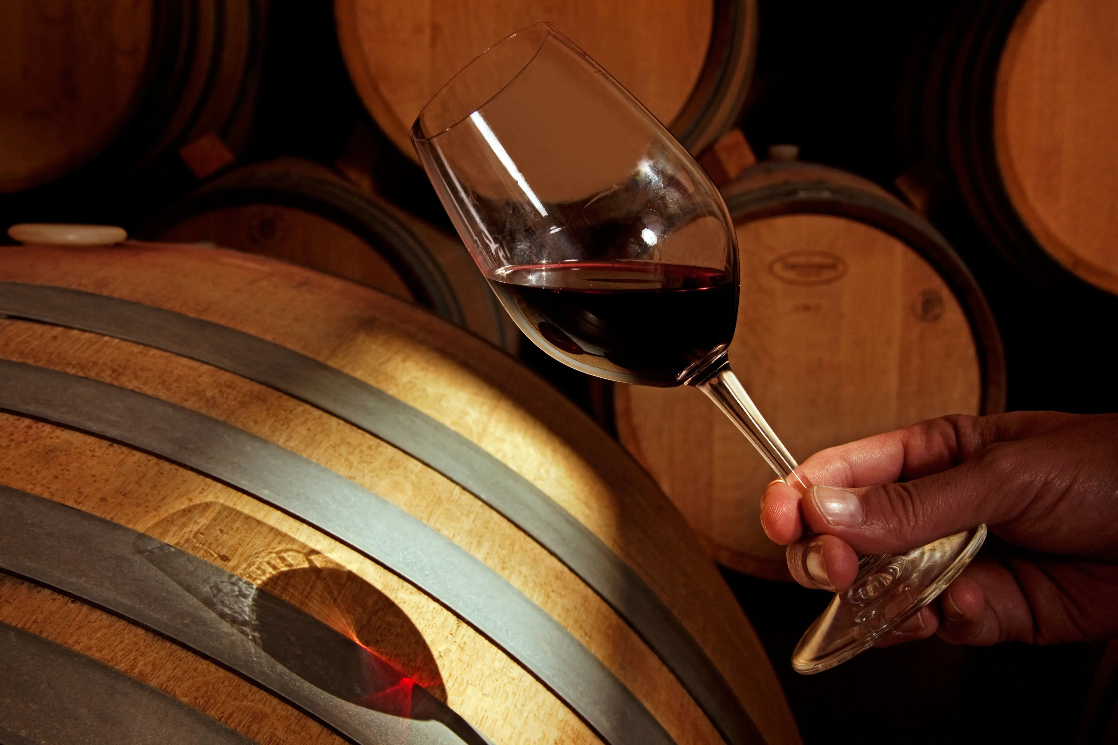 Size requirements for The Monkey Club may have been altered a bit but this stuff still isn't allowed.