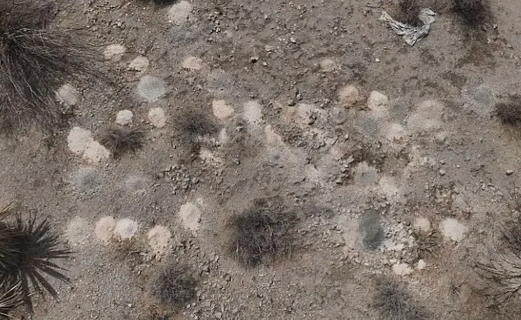 A whopping 315 mounds of human remains were finally recovered earlier this week (KLAS)