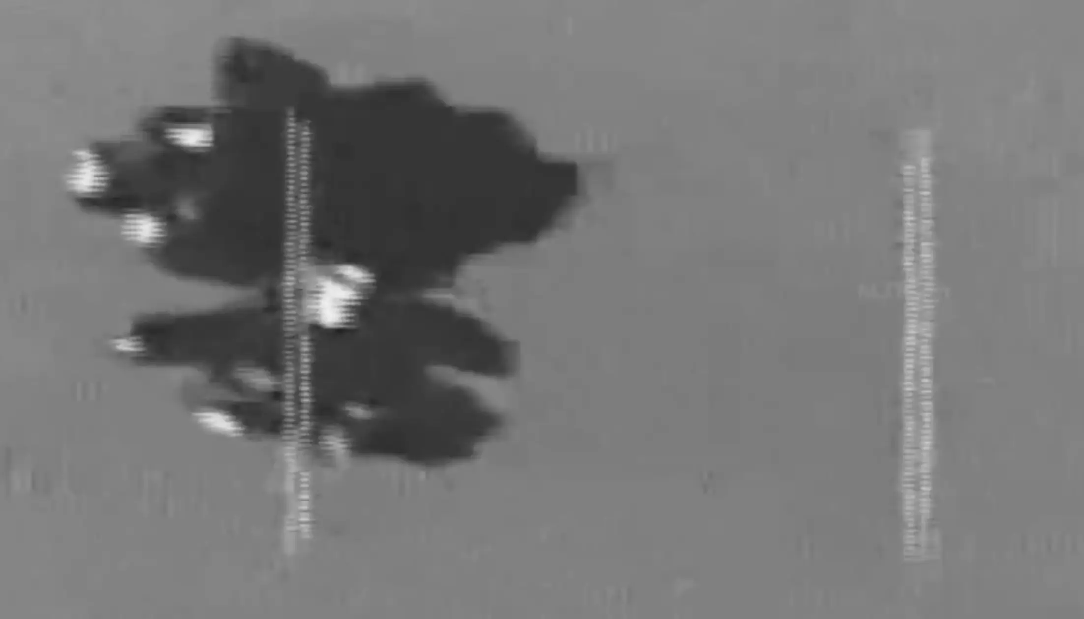 A still from the footage (X)