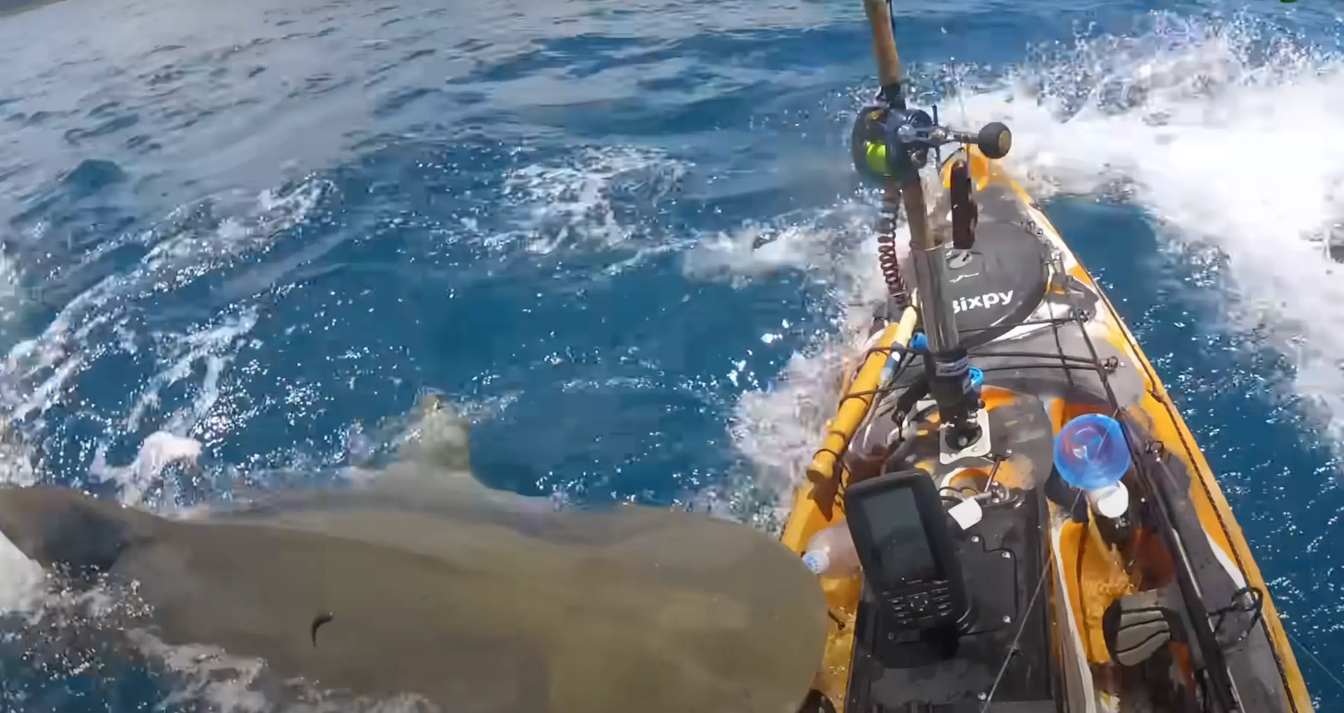 He expertly managed to kick near the shark's eye (Hawaii Nearshore Fishing via Storyful)