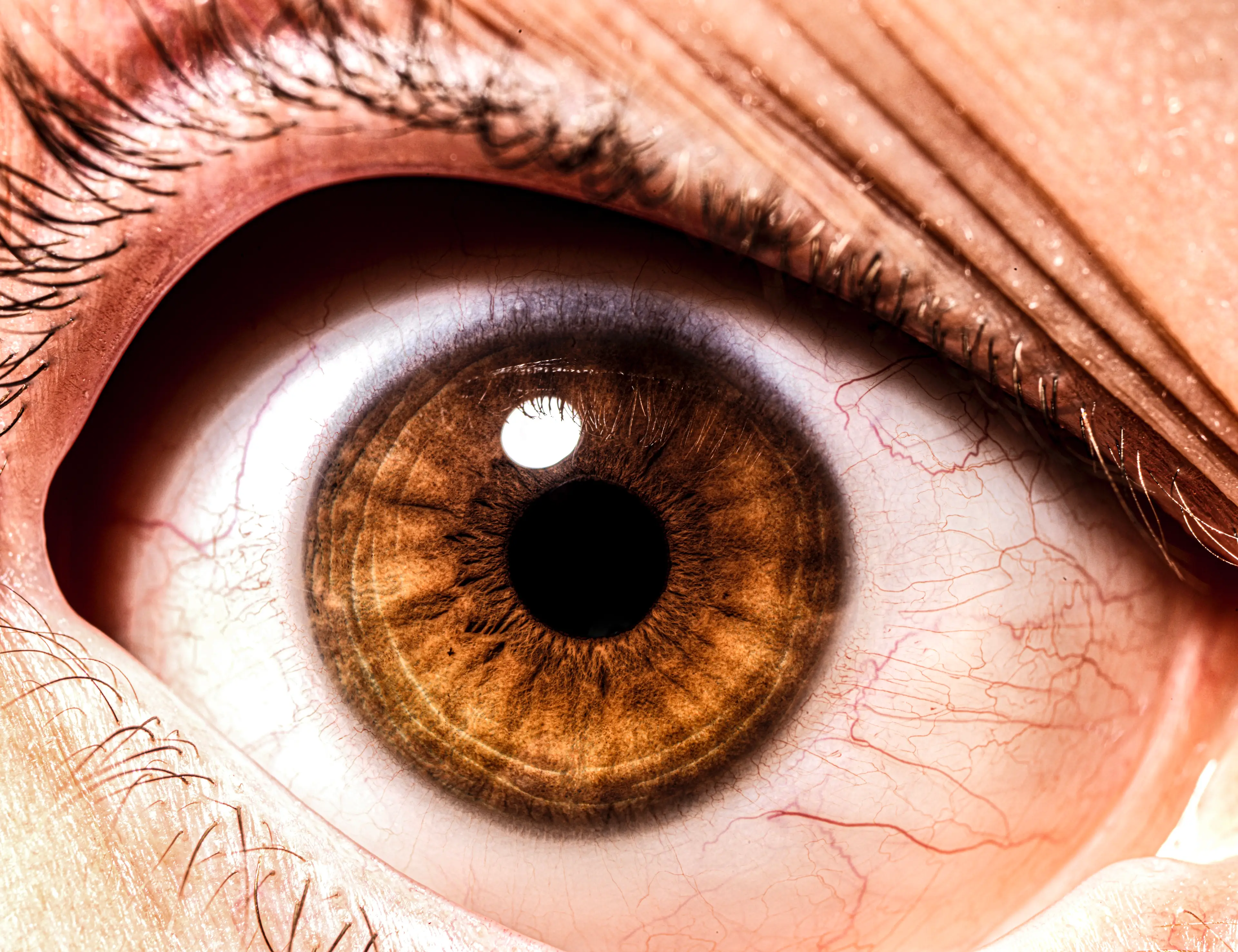 Those who are tired, stressed or anxious are more likely to experience twitches (Getty Stock Photo)