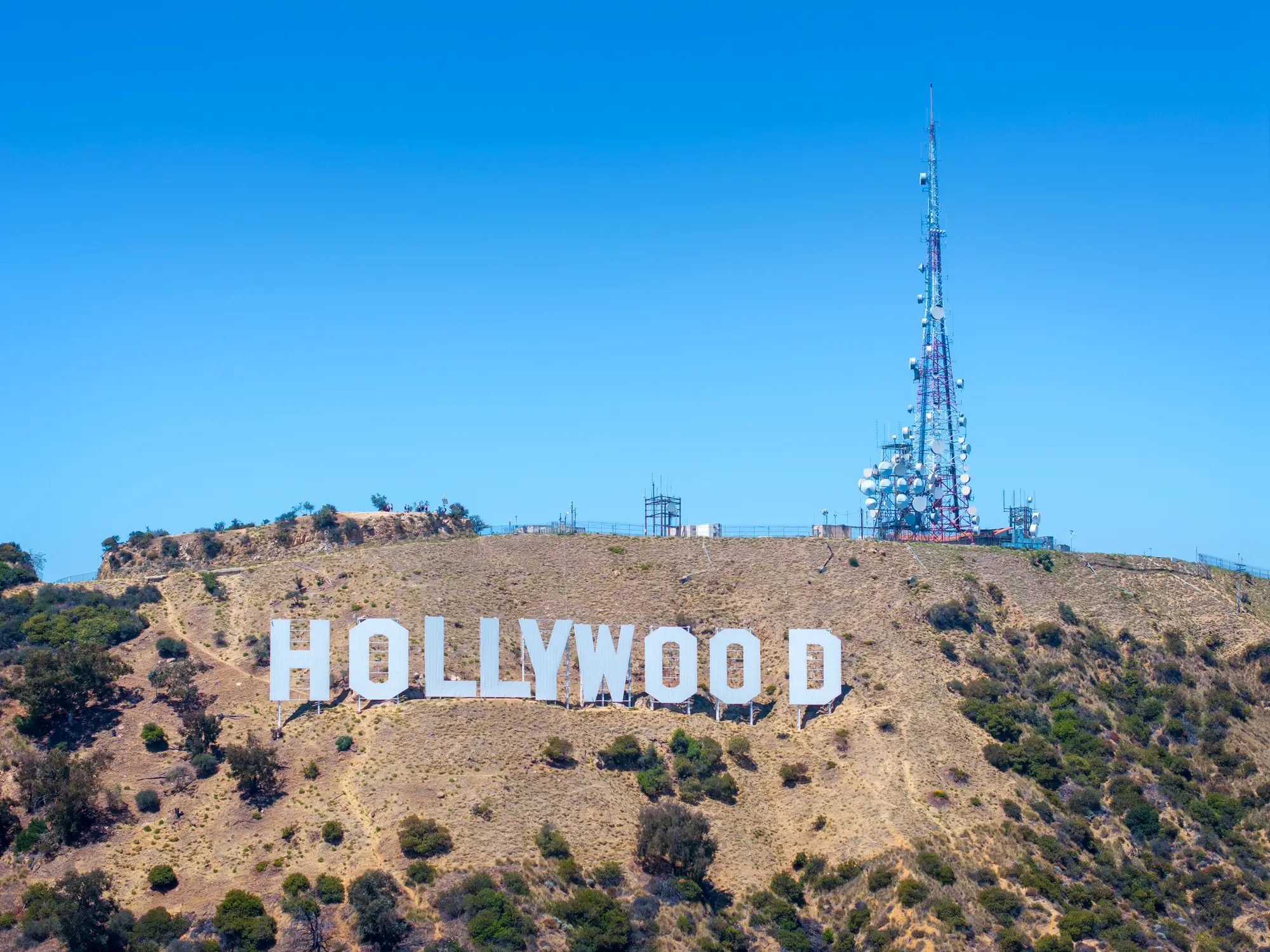 Ajula has anticipations for Hollywood this year. (Getty Stock Image)