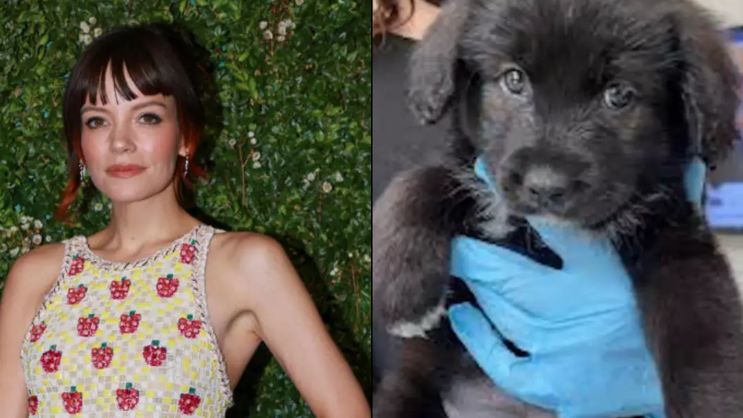 Ammar Rowaid/Patrick McMullan via Getty Images/Instagram/@lilyallen