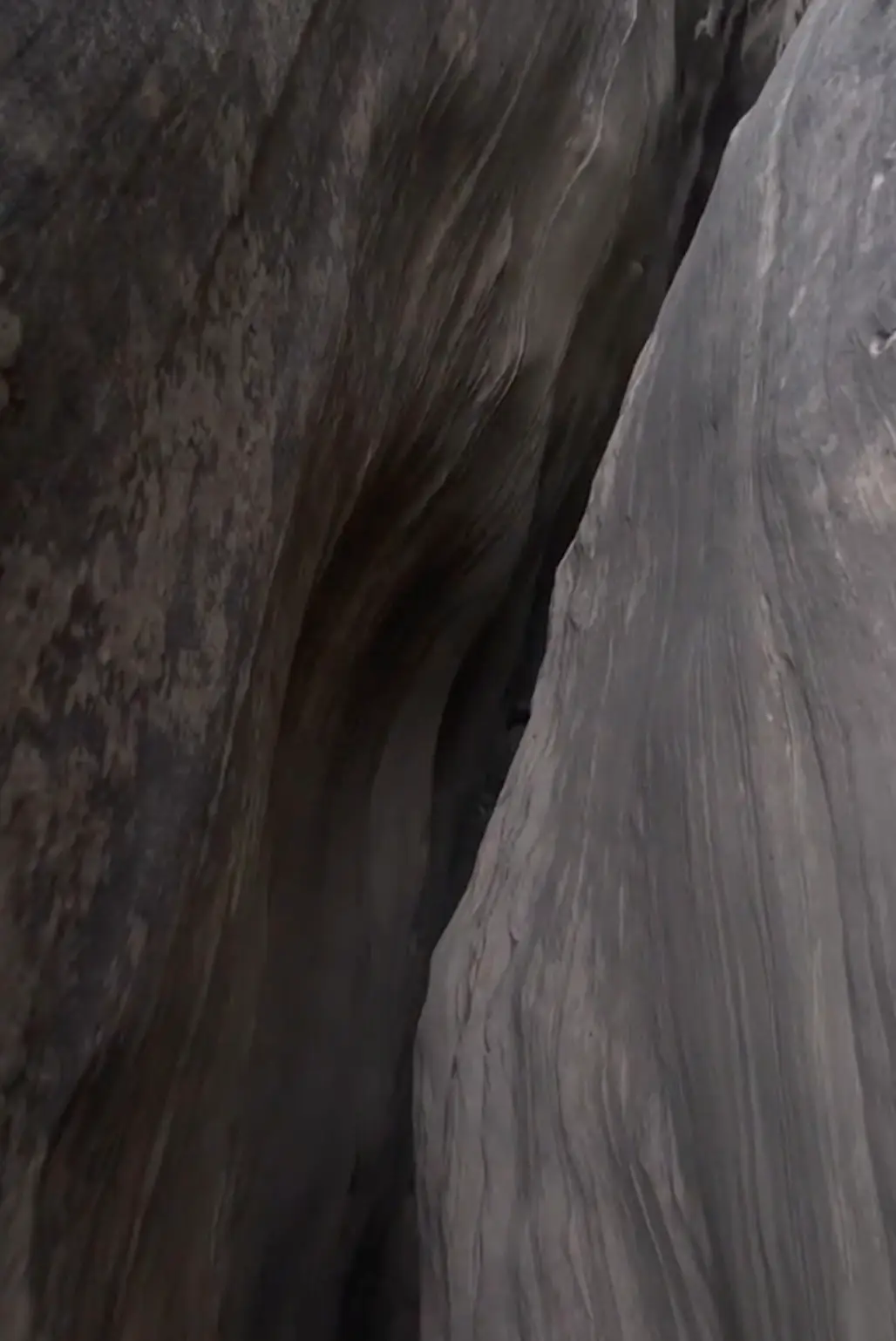 She said they were only saved thanks to a 'miracle'. (TikTok/@elfy647)