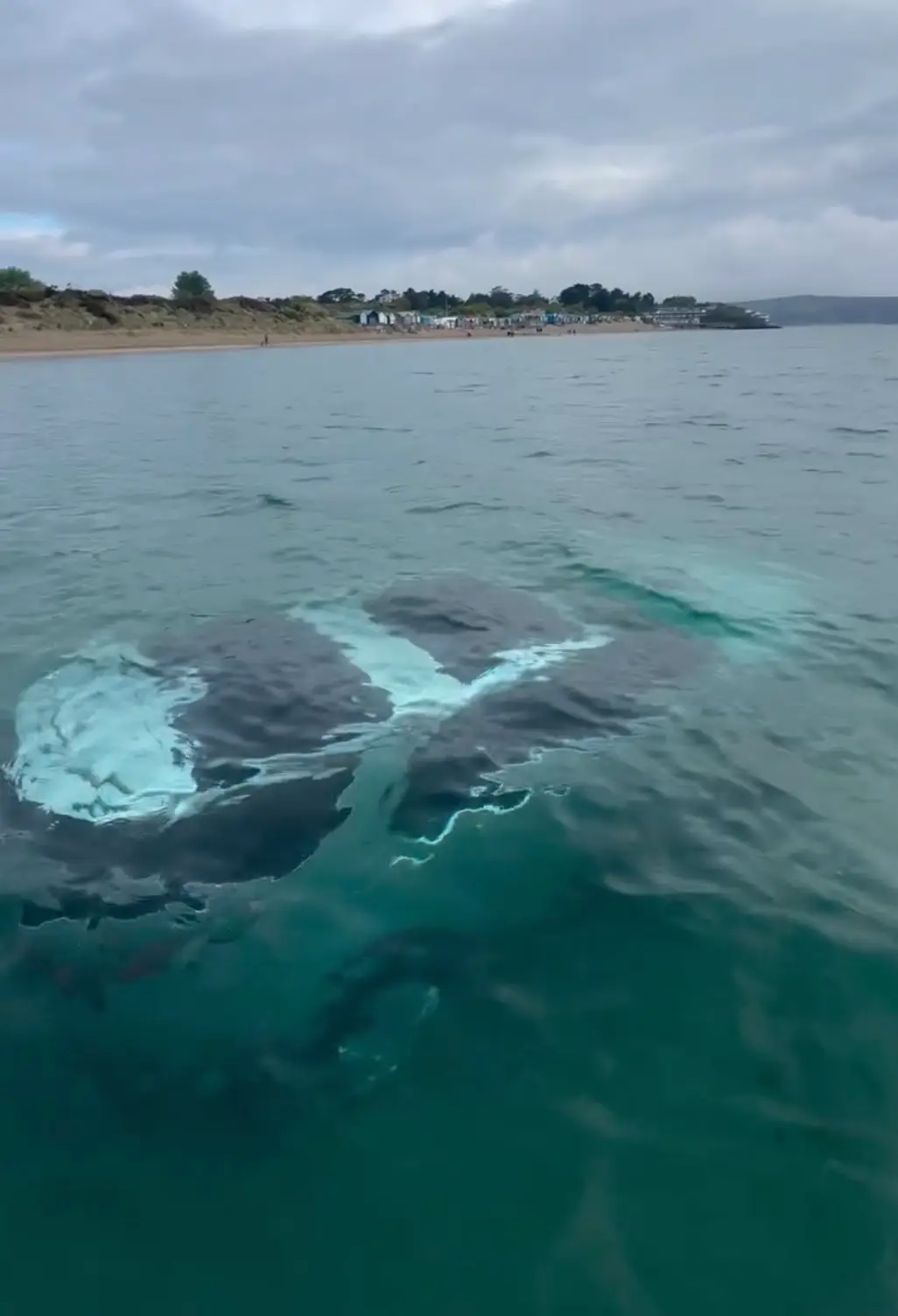 The car went underwater at Abersoch, which is a couple of miles from Bear Grylls' private island, and locals said the Bank Holiday weekend meant it was 'silly season' (Wales News Service)