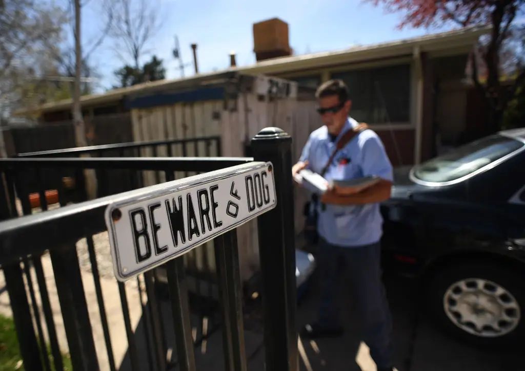 Dogs can sometimes be dangerous but not in Ethel's case (RJ Sangosti/The Denver Post via Getty Images)