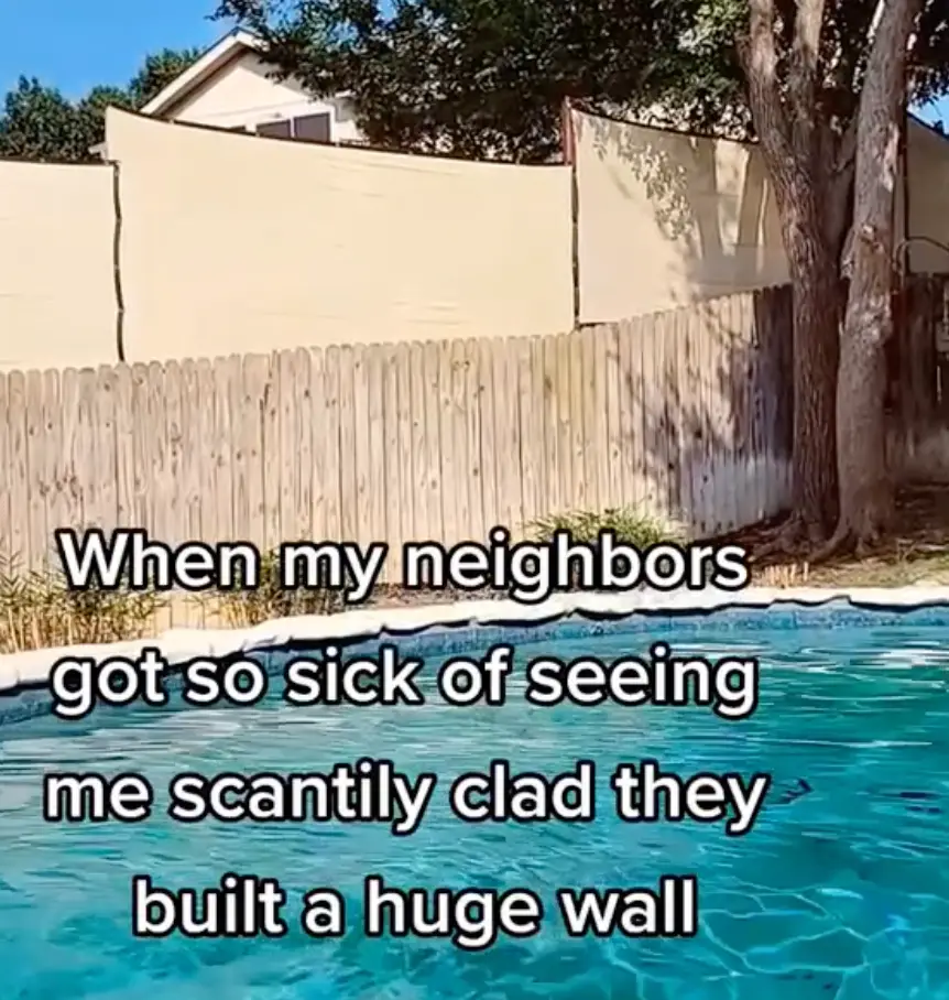 The neighbours weren't subtle with their creation.