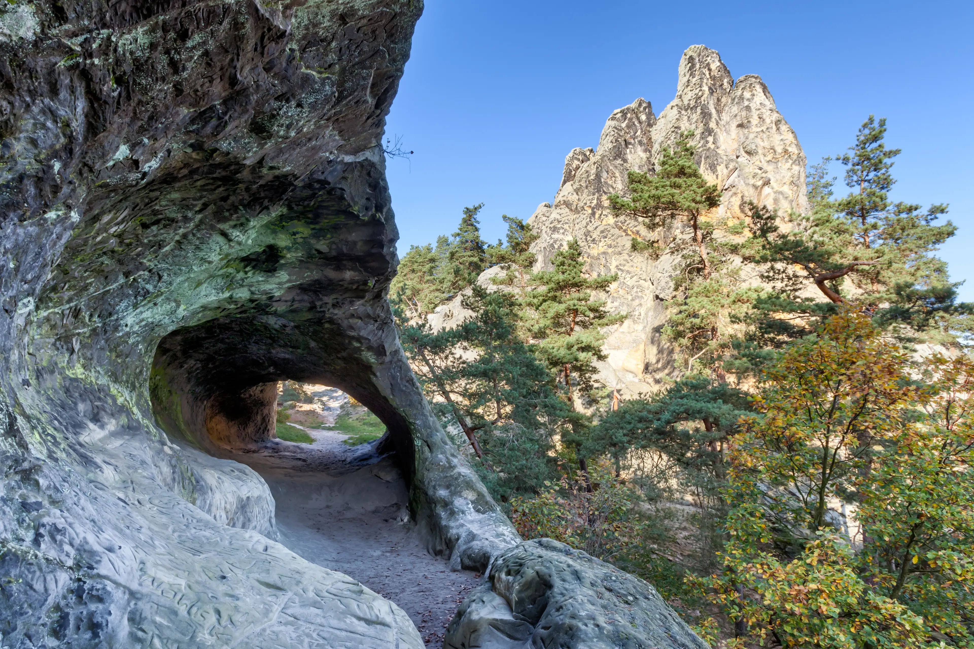 Up in the hills and forests near the German town of Blankenburg there have been claims of a wild 'wolf man' for about five years.