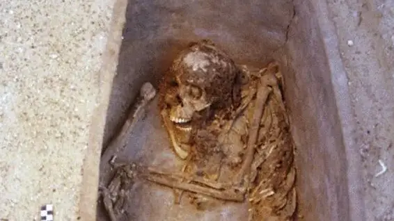 A. Alcouffe et al., J. Archaeol. Method Theory