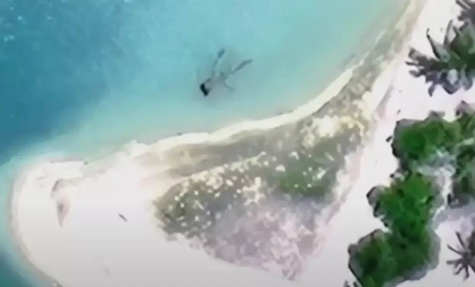 However recent investigations point to Nikumaroro atoll, an island in Kiribati (Archeological Legacy Institute/Today)