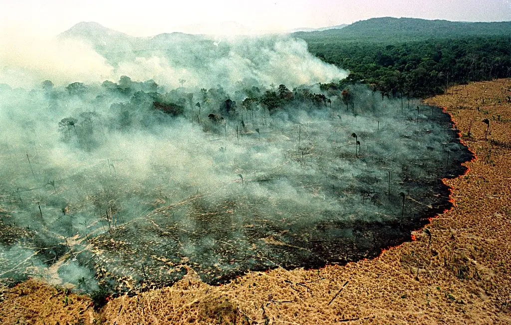 Wildfires are just one of the destructive consequences of an El Nino  (MARIE HIPPENMEYER/AFP via Getty Images)