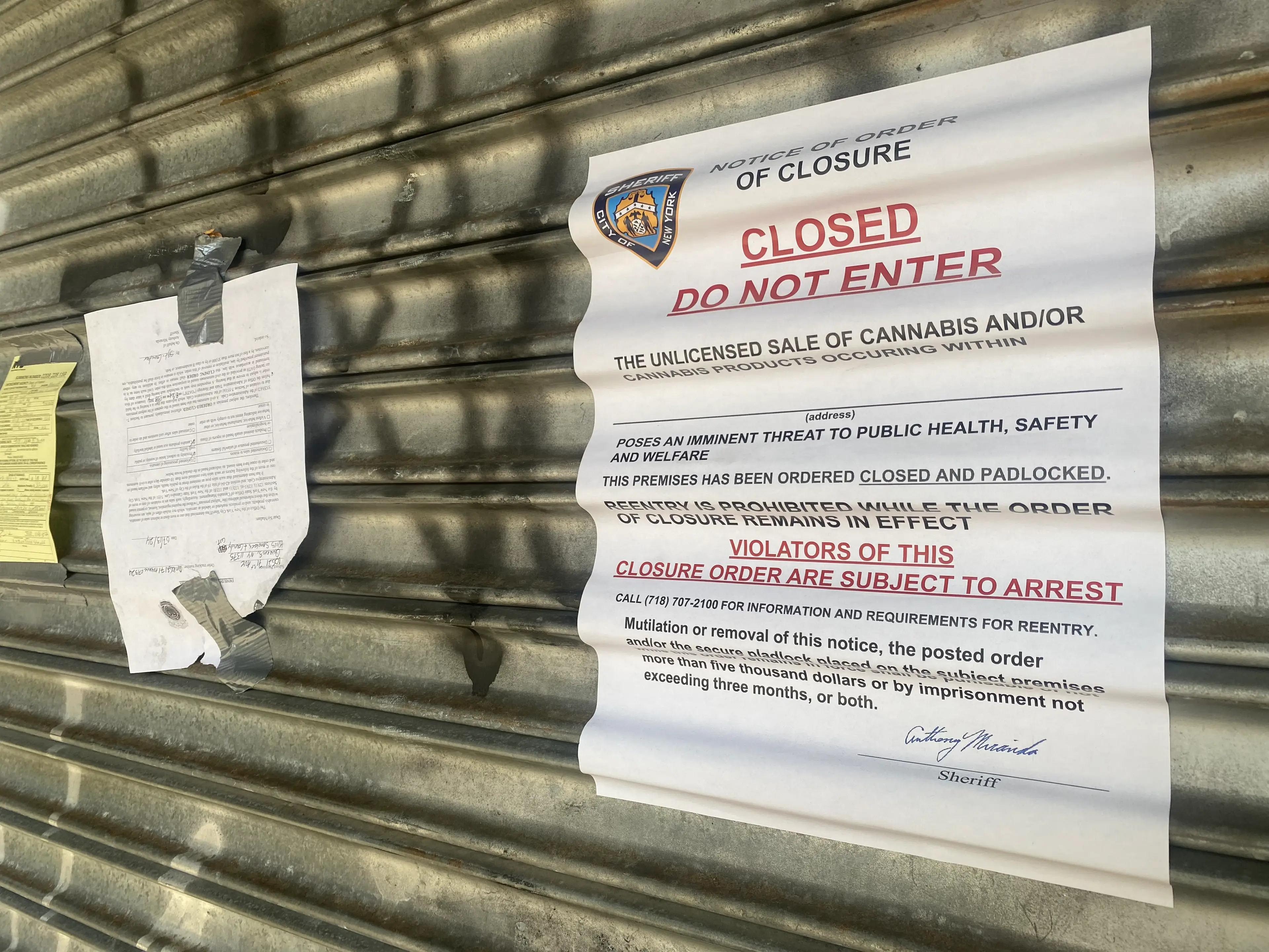 Just because cannabis is legal in some states, it doesn't mean that all kinds of the drug are, nor any amount (Lindsey Nicholson/UCG/Universal Images Group via Getty Images)