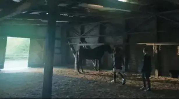 Despite the criticism of the horse scene lots of people have been enjoying the show. (BBC)