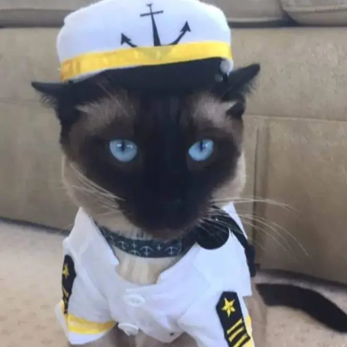 Her cat, aptly named Captain, is eagerly awaiting the Odyssey's departure (BBC/Holly Hennessey)