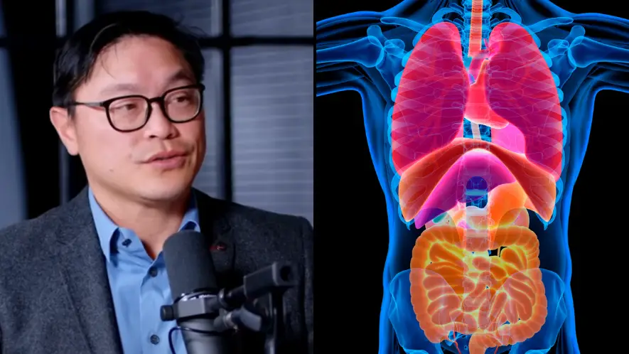 Youtube/Diary of a CEO/Getty Stock Images