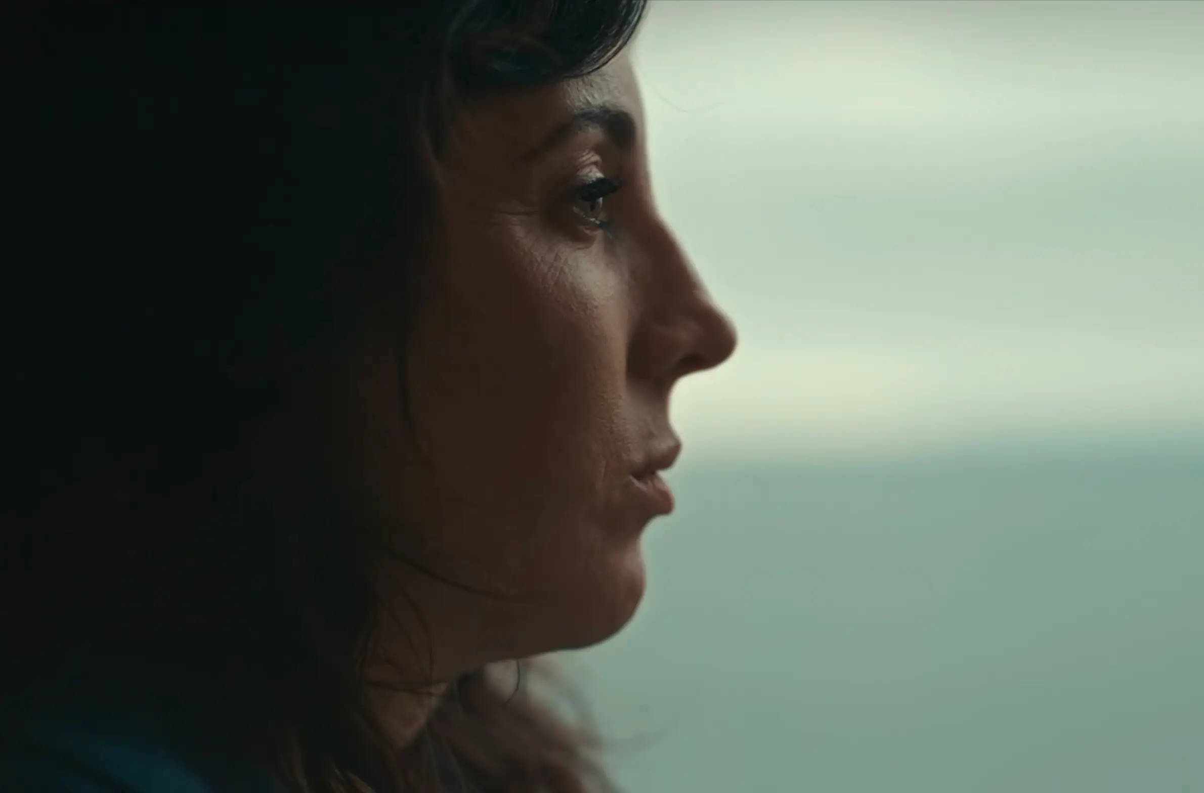 The psychologist couldn't believe the 'sheer scale' of the campaign of terror waged against the innocent woman (Netflix)