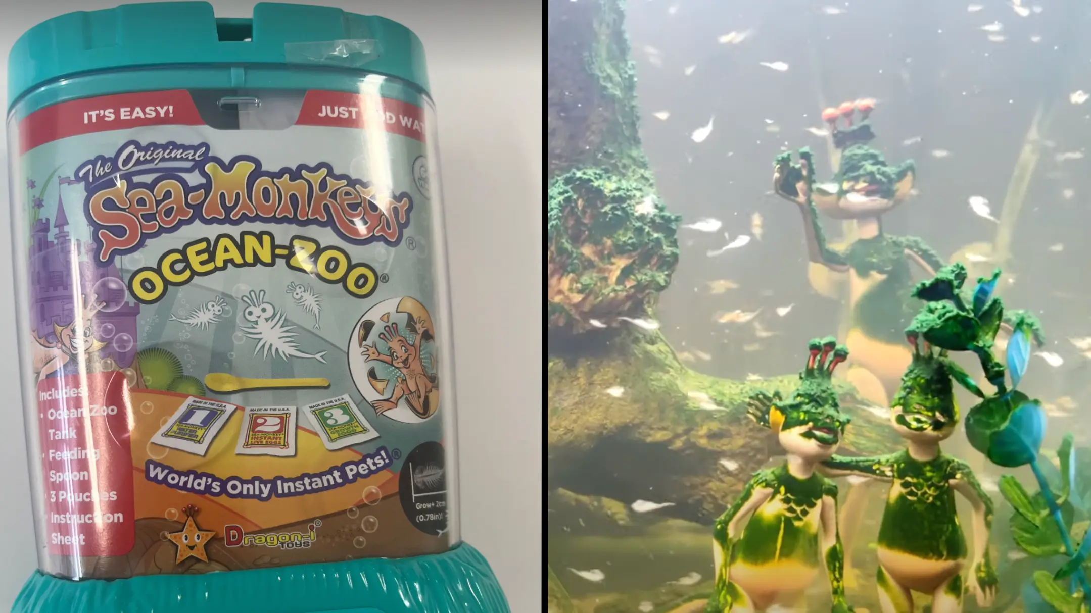 LADbible/ SeaMonkeyDudeJon