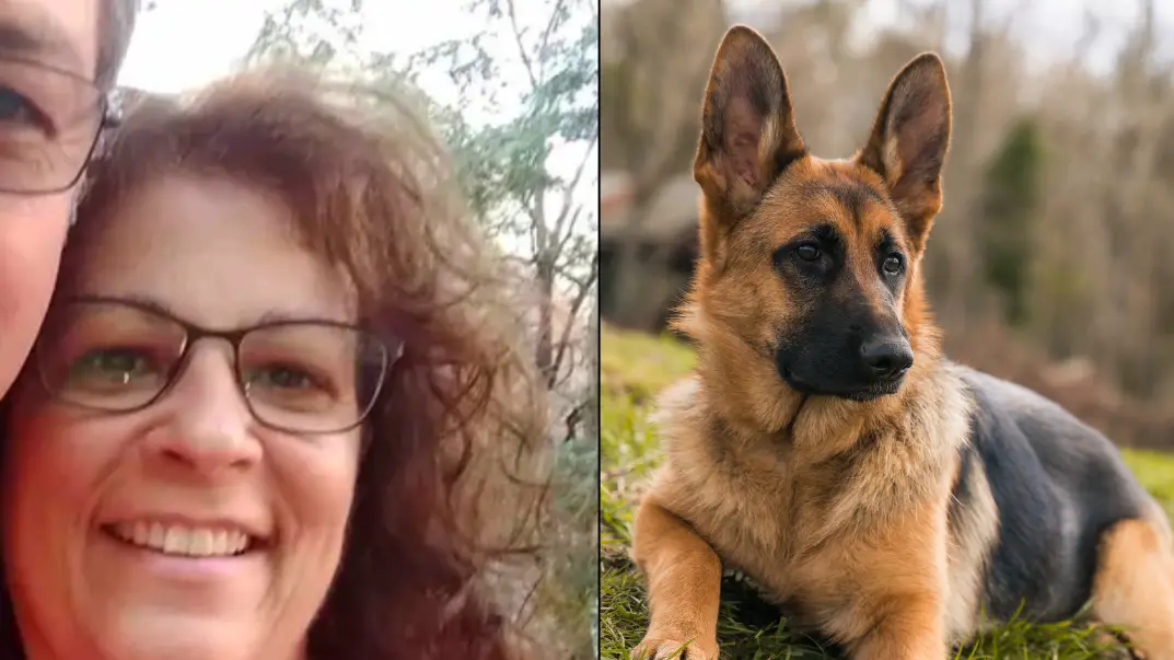 GoFundMe/Getty Stock Image