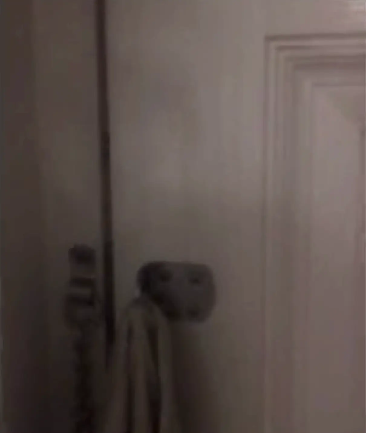 The door was keeping the black smoke from getting to the family (Netflix)