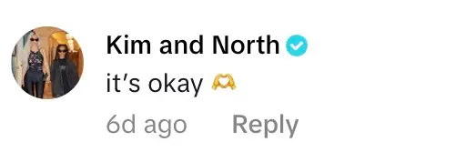 The mother-and-daughter left a sarcastic comment under a critic's video (TikTok)