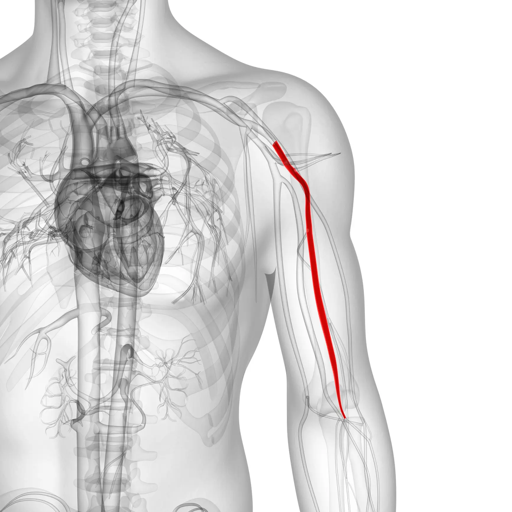 His death was listed as an accidental death of a gunshot wound to the left Brachial Artery (Getty Stock Images)