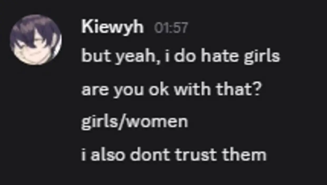 Messages the teenager left on Discord (North Wales Police)