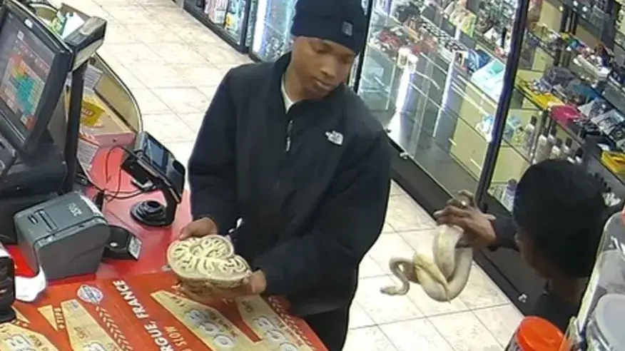 Tennessee police are on the lookout for a group of people who were armed with snakes when they allegedly robbed a convenience store (Madison County Sheriff’s Office)