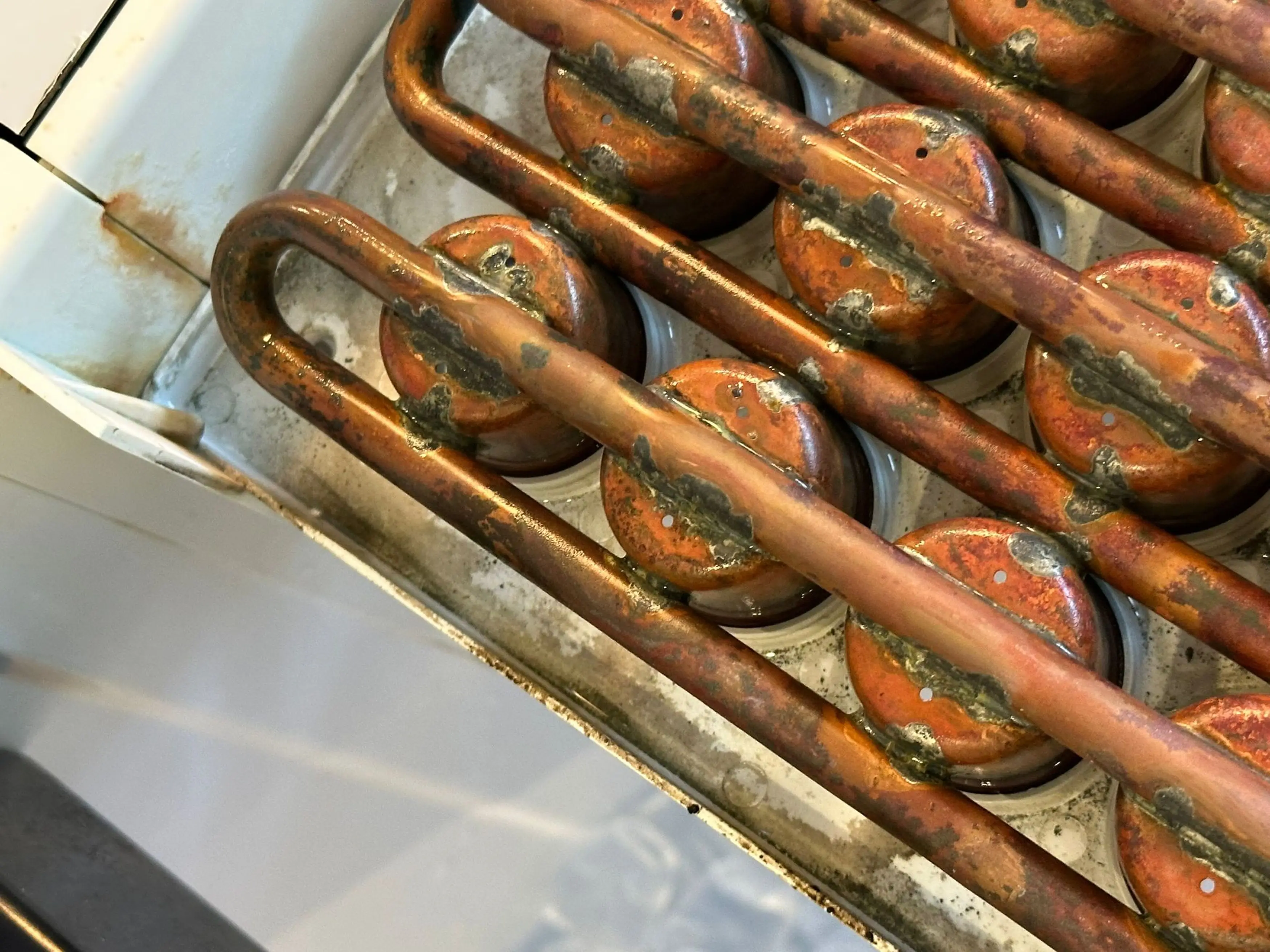 In a bid to understand her diagnosis more, Schayene had her house tested for mould and discovered her ice machine was covered in spores (Kennedy News and Media)