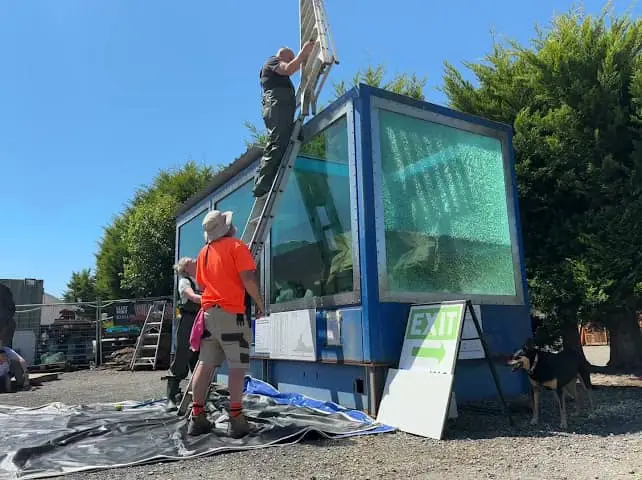 Rosie the Shark's new home (Facebook/Rosie the Shark)