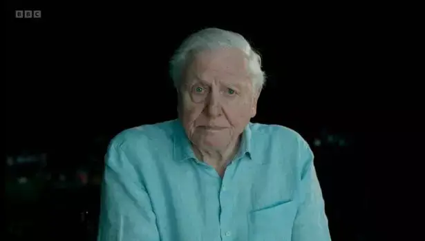 In recent years, Sir David has been urging people to take real action to save the planet.