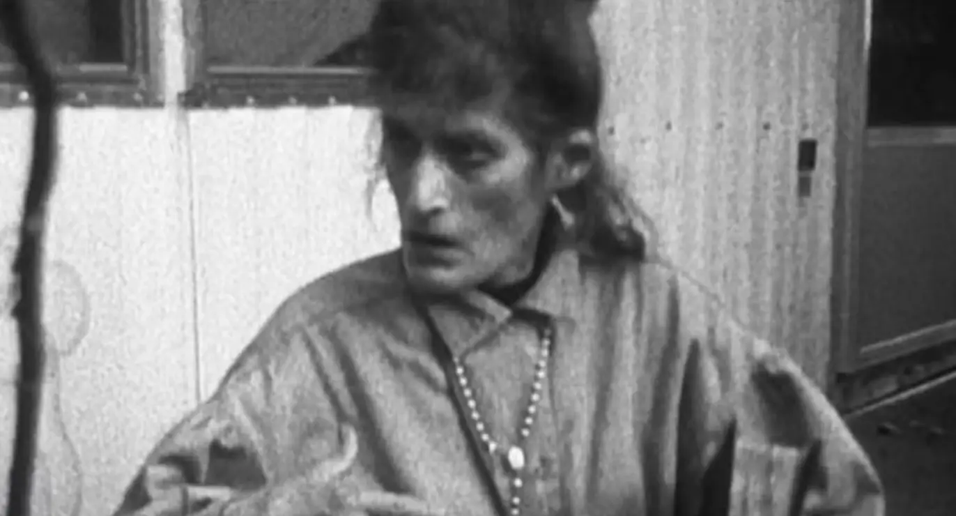 Could this be the actual witch? One Reddit user thinks so (Summit Entertainment)