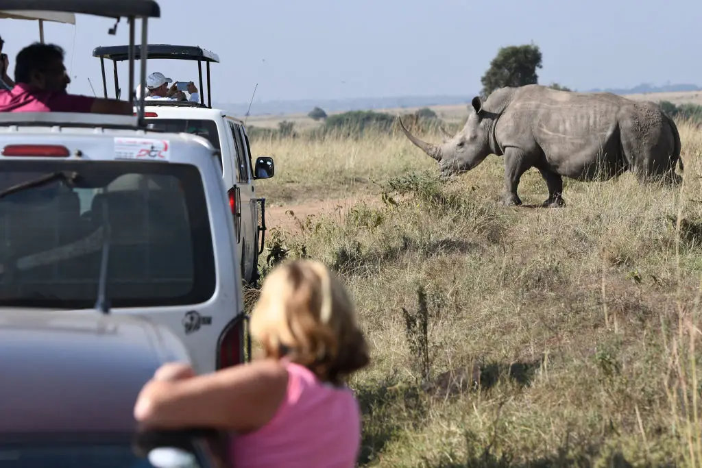Kenya's a very popular tourist destination, but people are being warned to reconsider travelling there (SIMON MAINA/AFP via Getty Images)